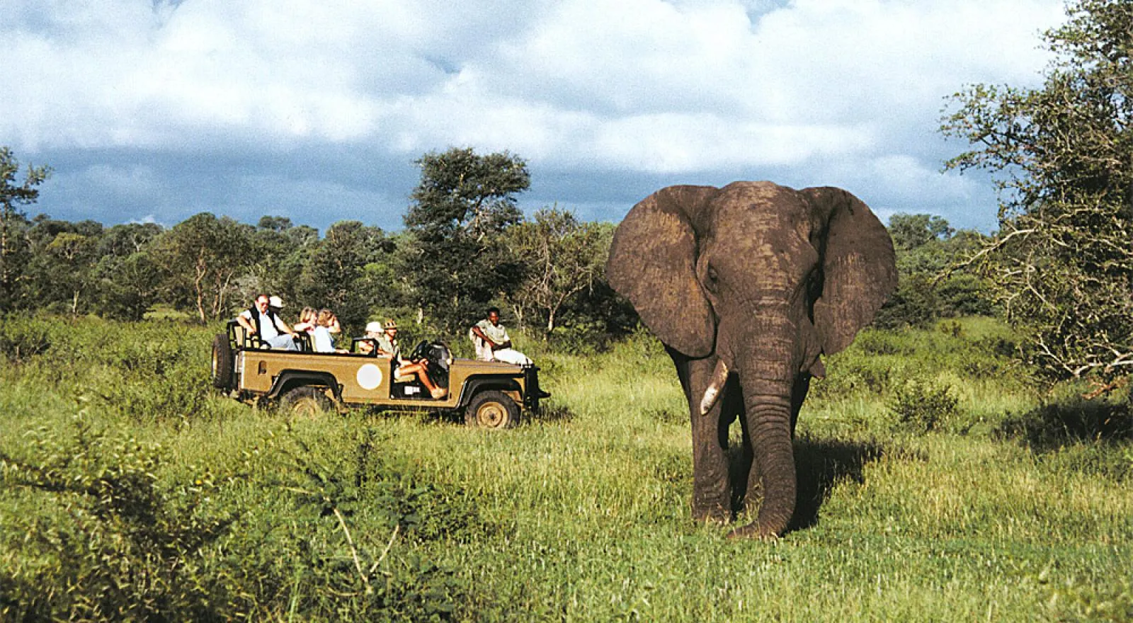 Elephant Game View