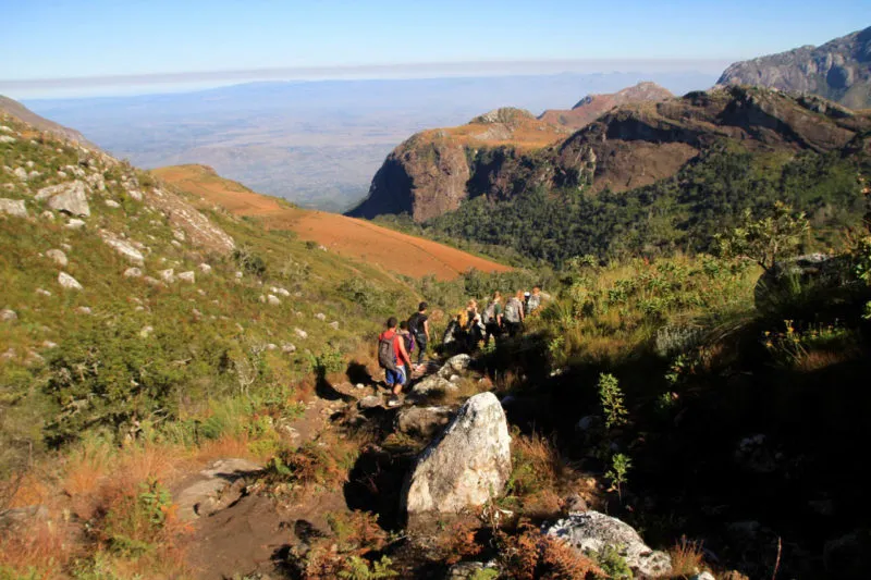 Mulanje Mountain Hike