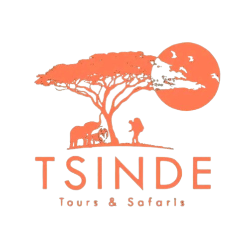 Tsinde Tours & Safaris