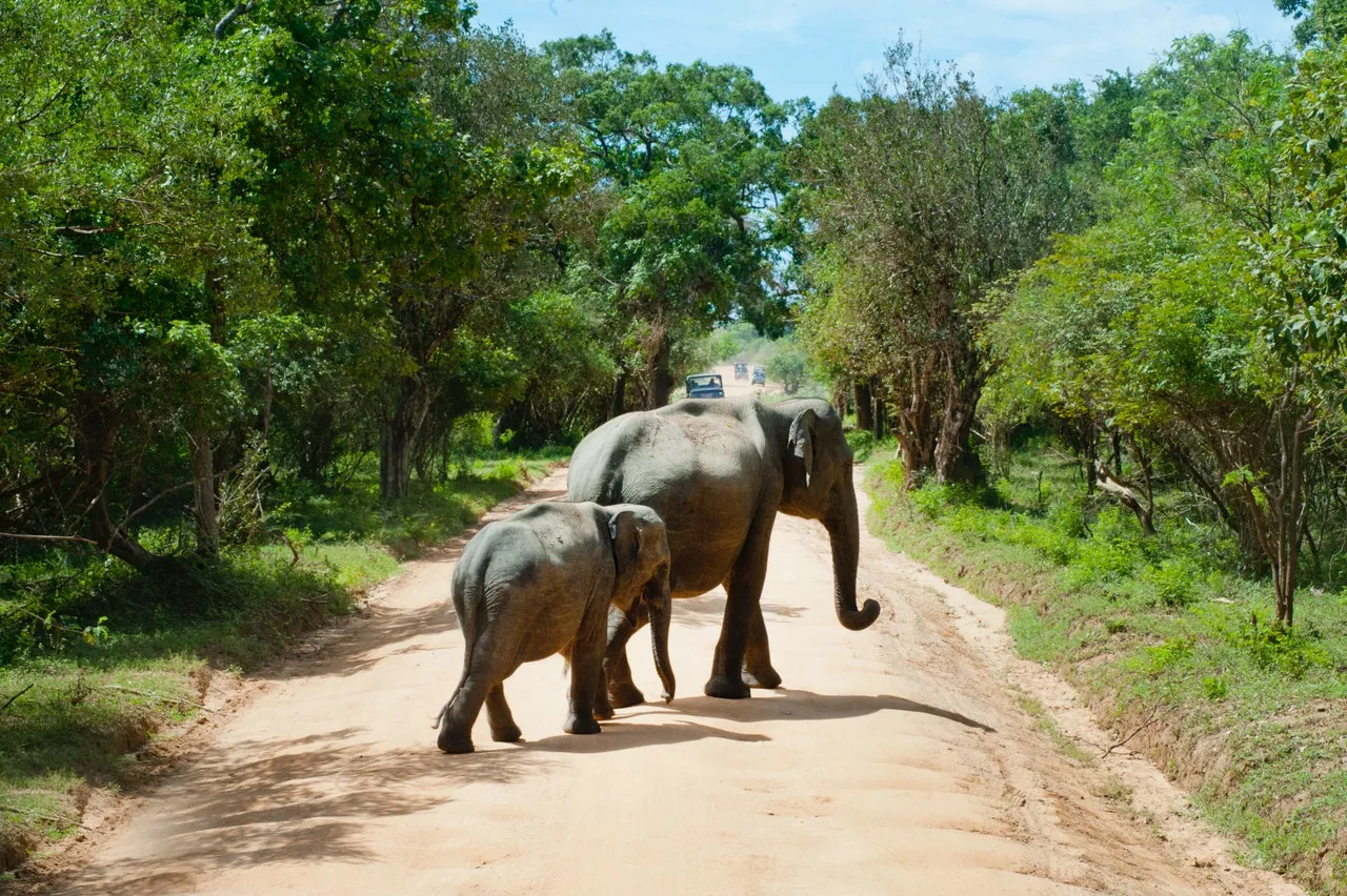 3 Days Victoria Falls & Livingstone