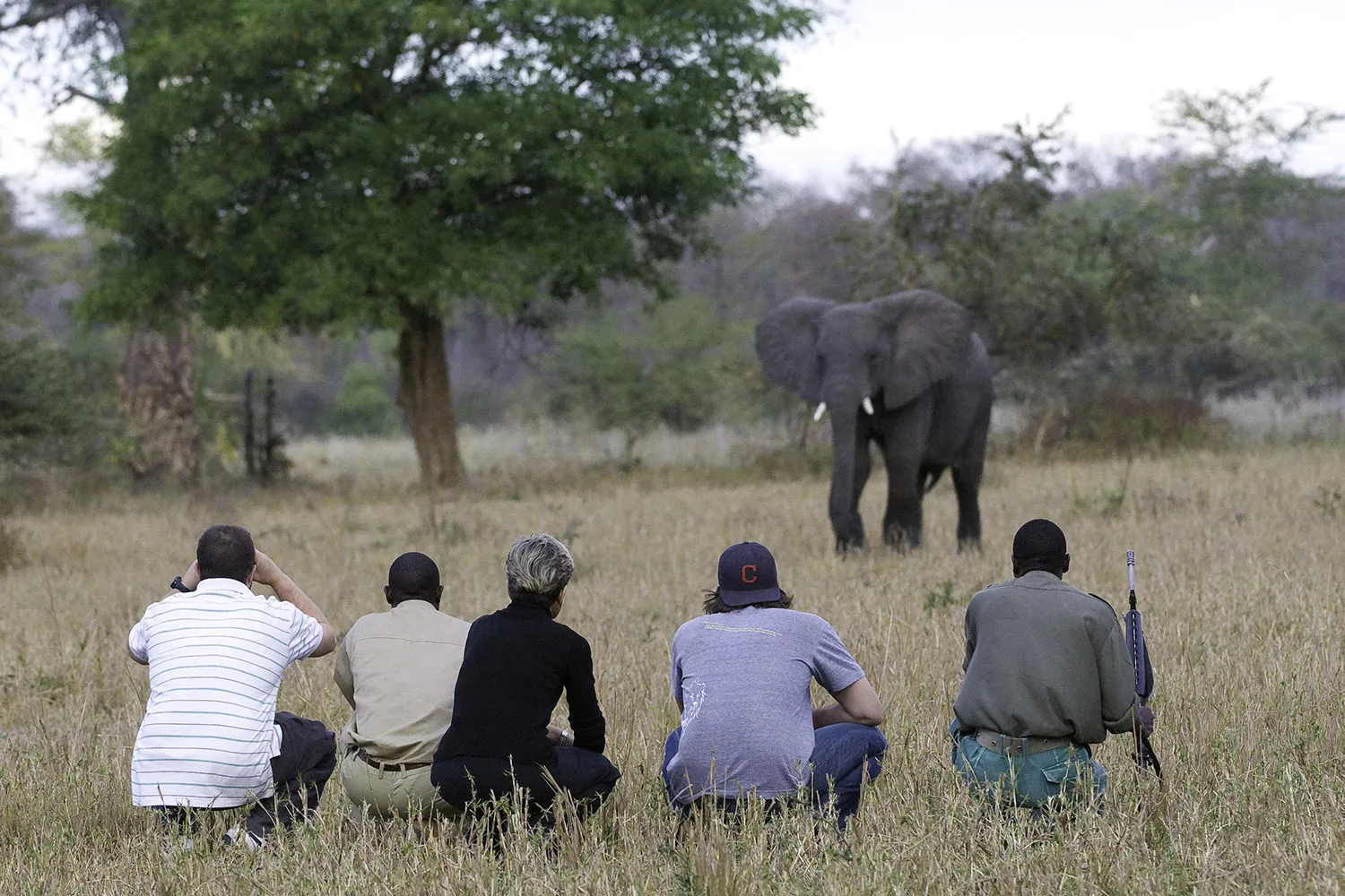 Southern Malawi Safari