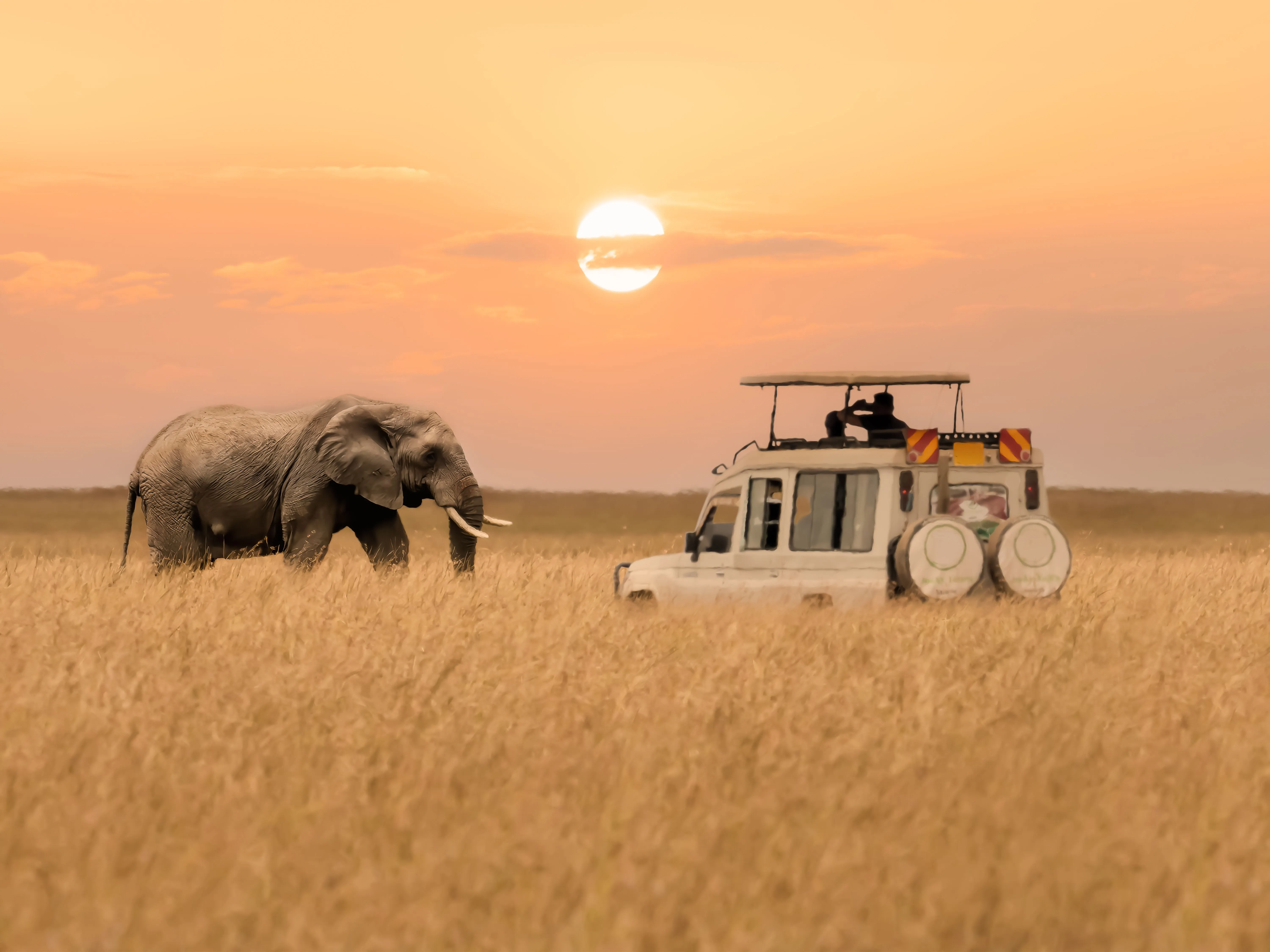 Discovering the Warm Heart: Malawi Safaris & Adventures