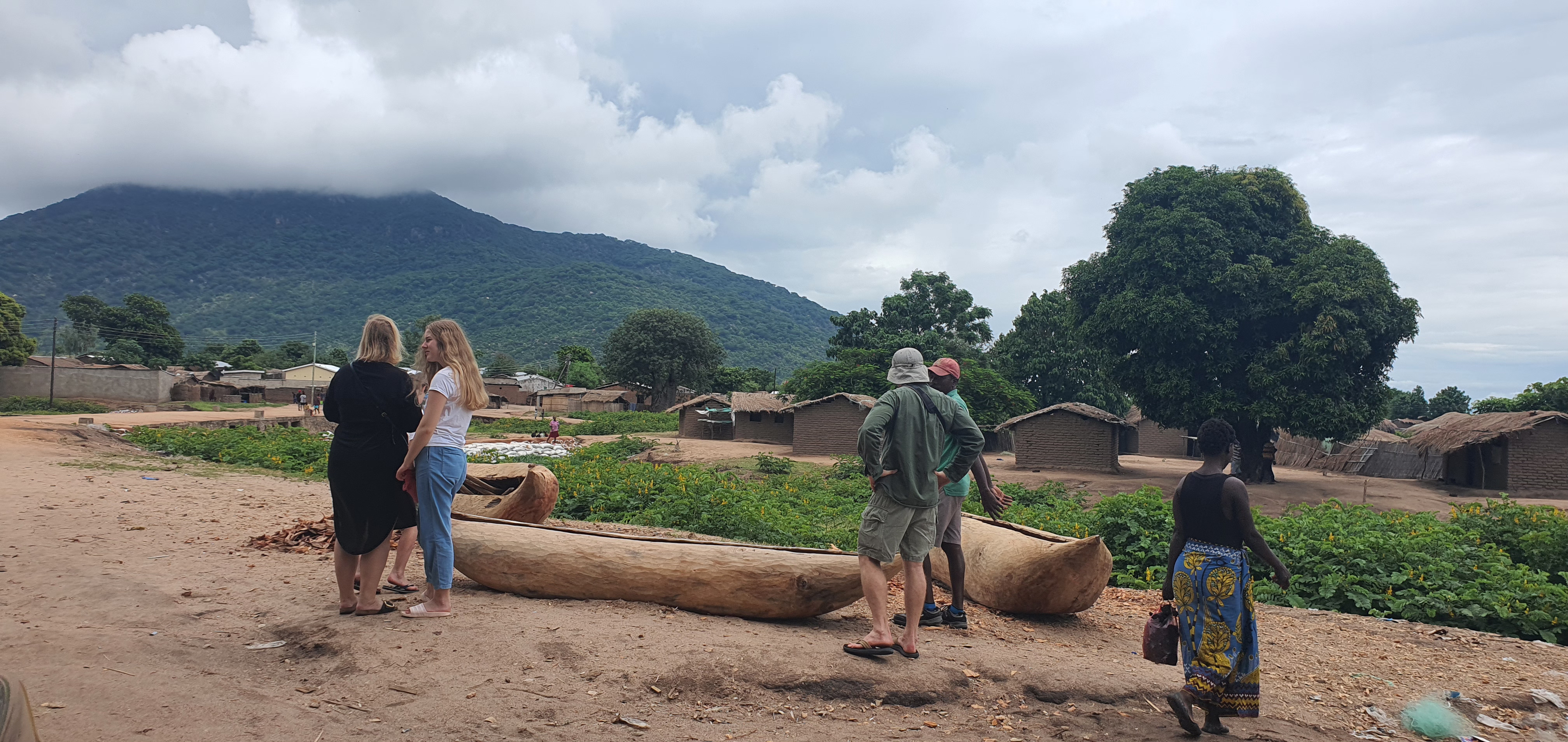 Beach and Safari Tour